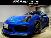 ケイマン(Type981)