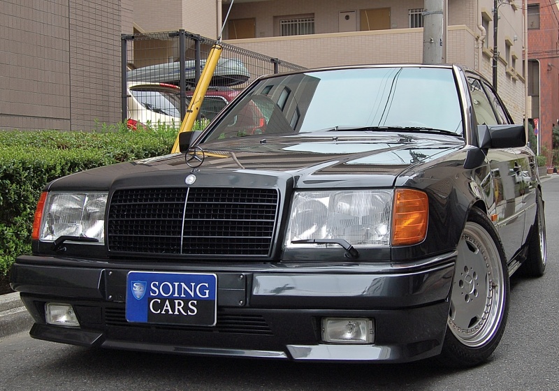 食用 魚 合理化 ベンツ W124 中古 車 緑 プレート 導入する